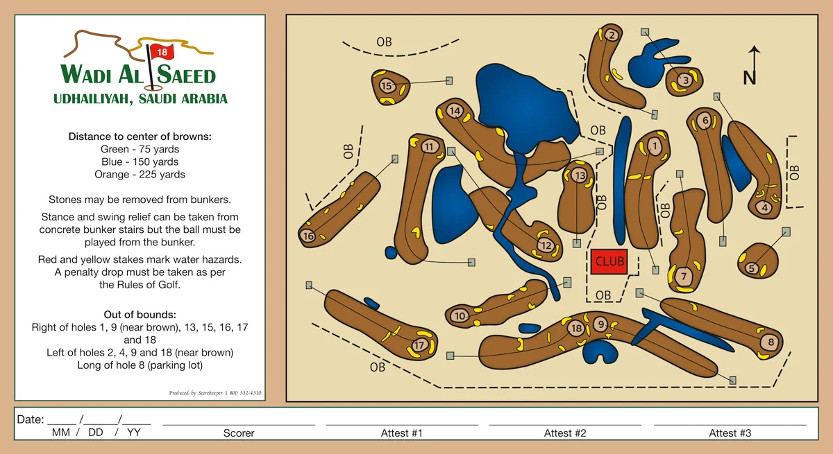 Wadi Al Saeed scorecard